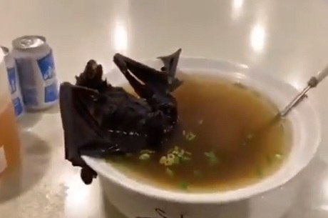 sopa de morcego