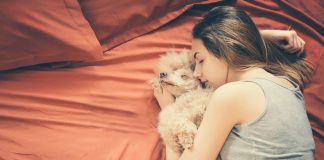 Dormir com cachorro faz mal a saúde?