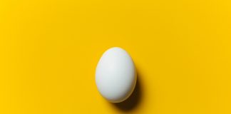 Comer um ovo por dia