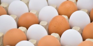 diferença entre ovo branco e ovo marrom