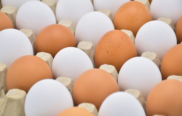 diferença entre ovo branco e ovo marrom